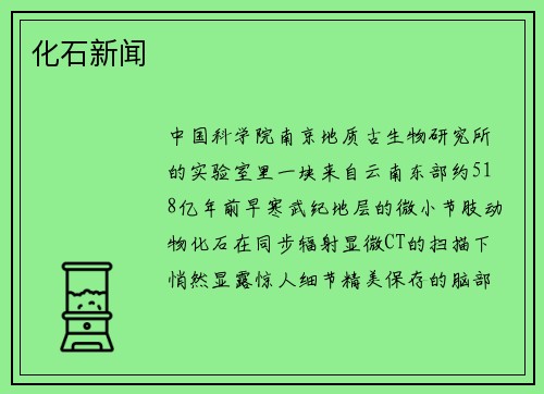 化石新闻